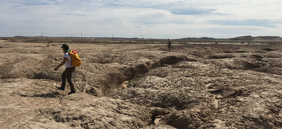 OWSVRA Photo- surveying